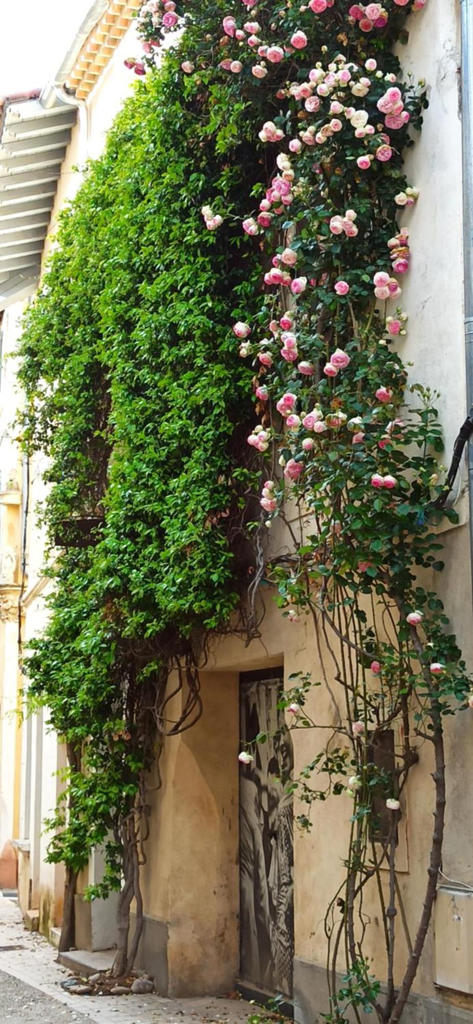L'Appartement De La Roquette Centre Historique ארל מראה חיצוני תמונה